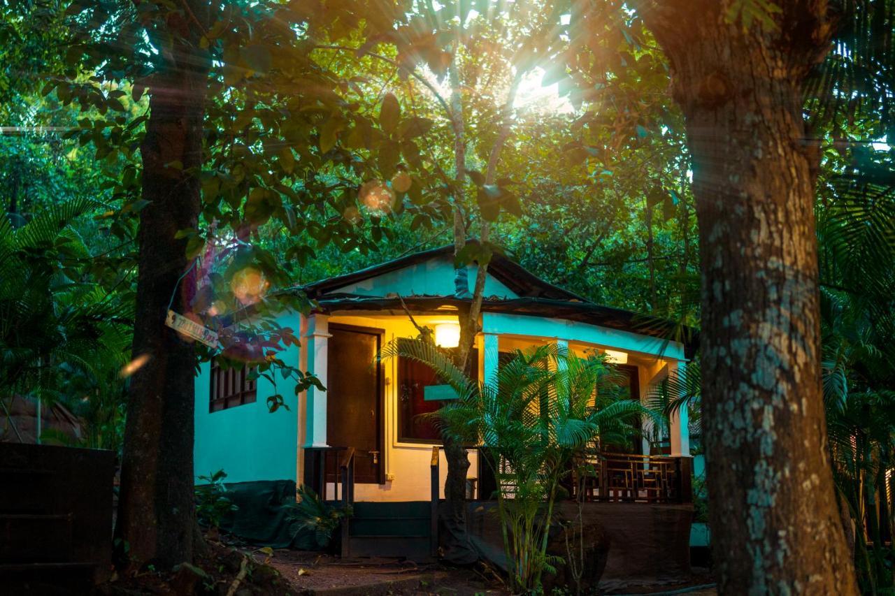 La La Land Resort Goa By Spicy Mango Palolem Zewnętrze zdjęcie