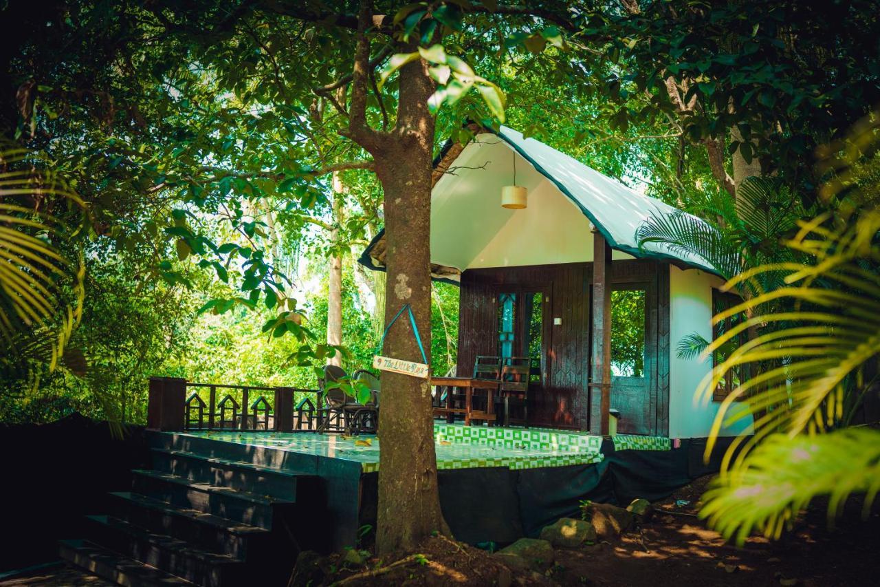 La La Land Resort Goa By Spicy Mango Palolem Zewnętrze zdjęcie